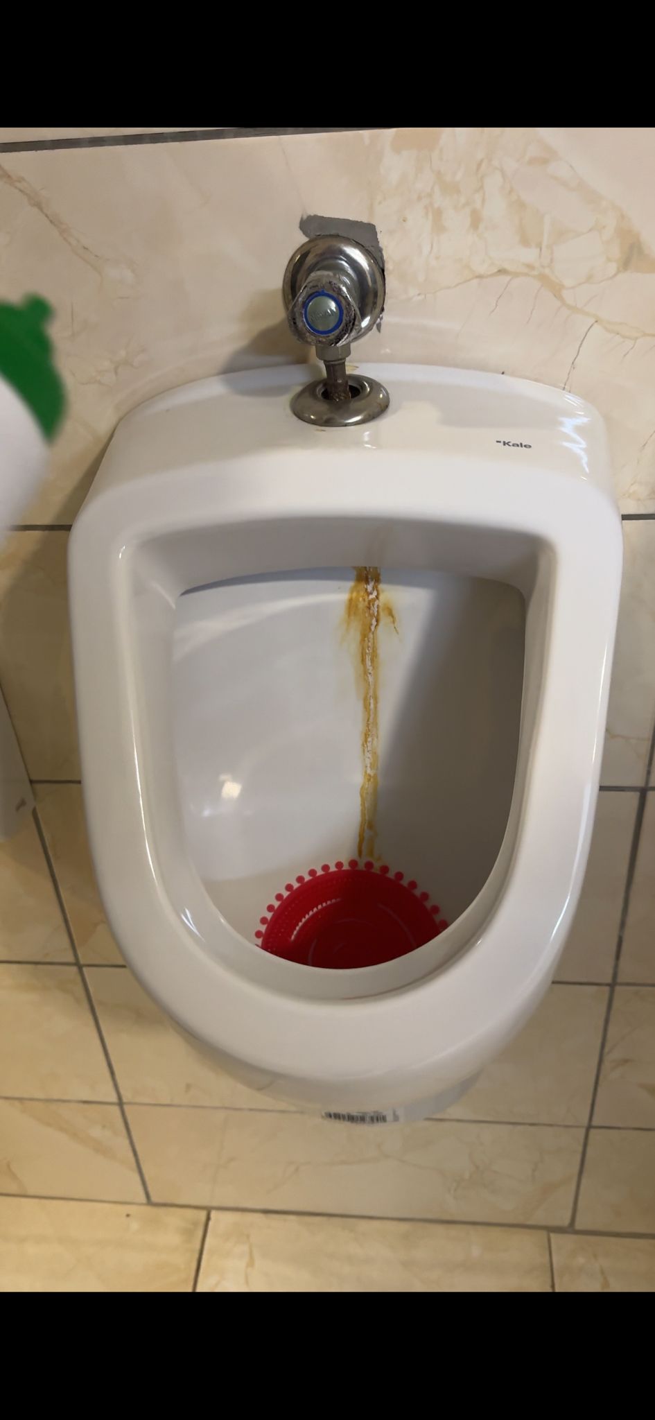 WC TEMİZLEYİCİ