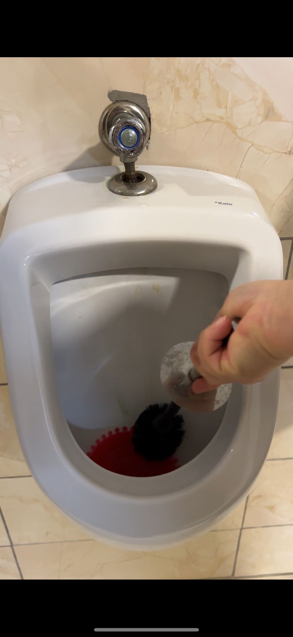 WC TEMİZLEYİCİ